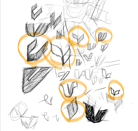 VerusFi — logo sketches and ideation