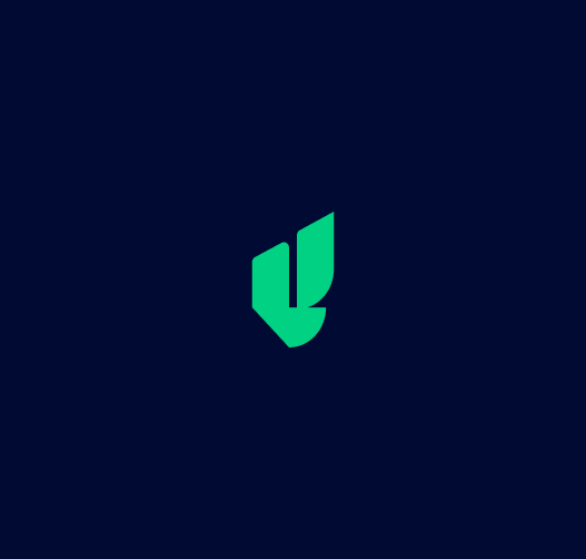 VerusFi — final icon mark